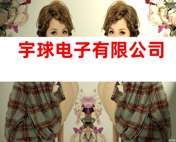 宇球电子有限公司